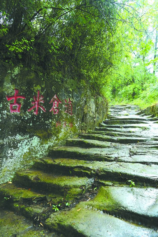 1756346419845 (1).jpg