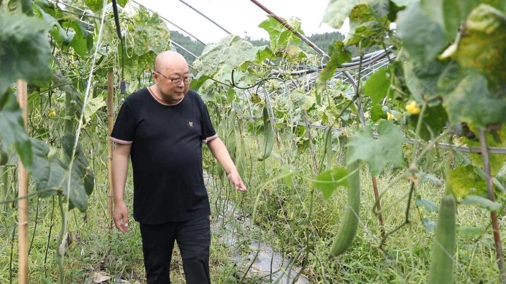 微信图片_2026-08-10_092308_125.png